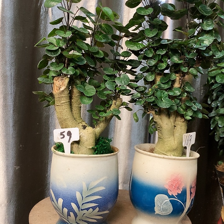 完全开放4888888888心。