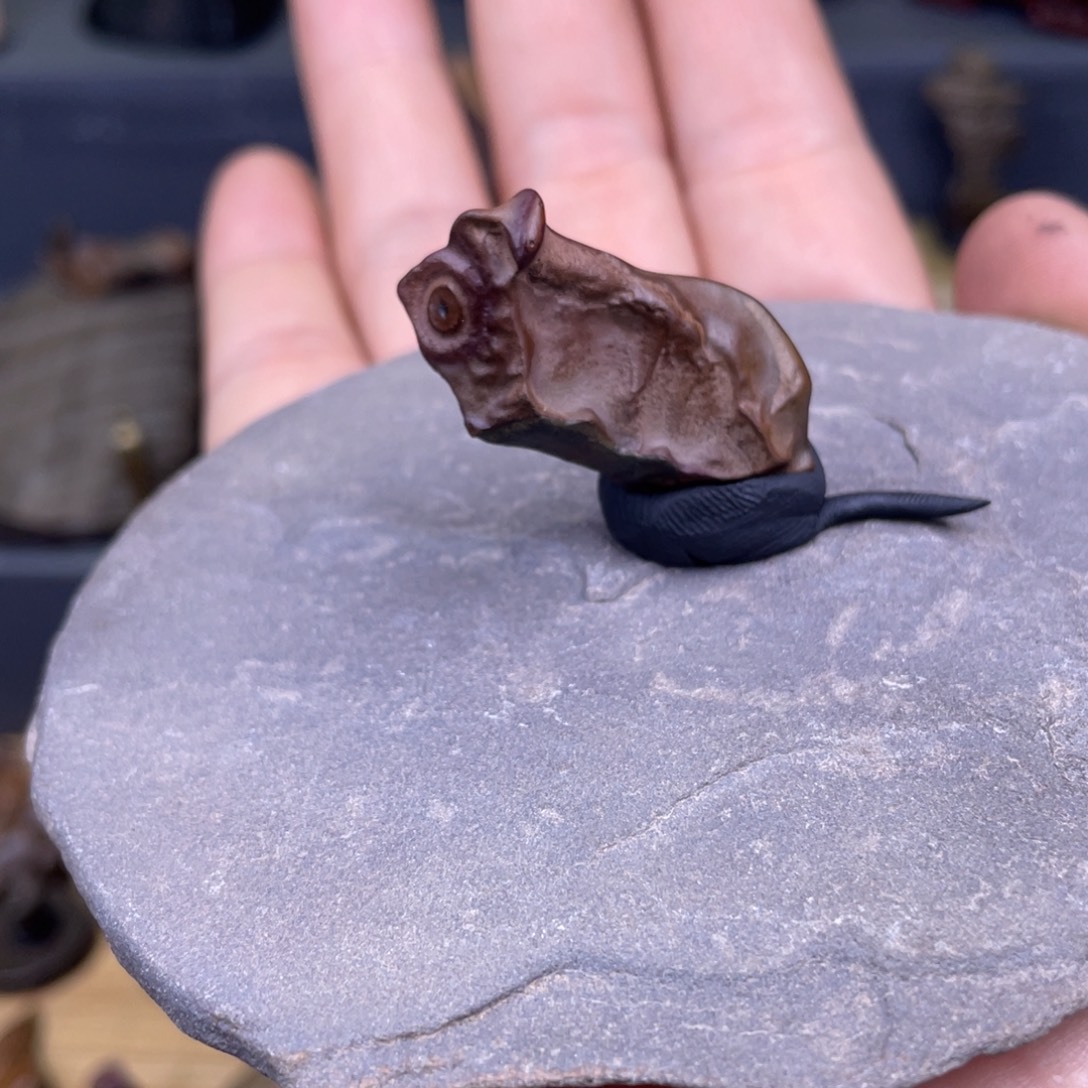 裤***奇辞海泥鼠11122558855588888