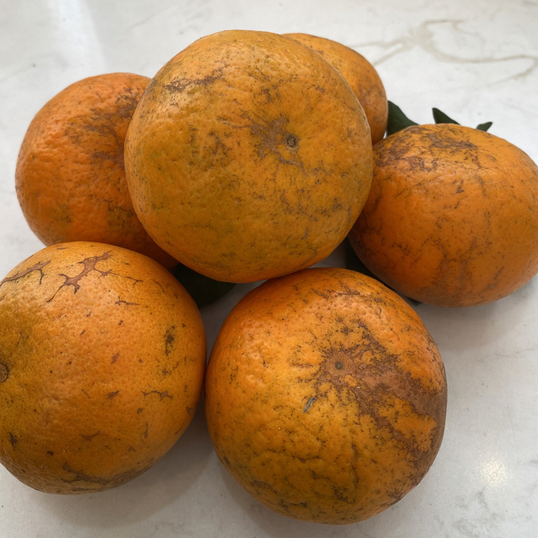 广西武鸣沃柑（花皮）当季新鲜皮薄多汁香甜