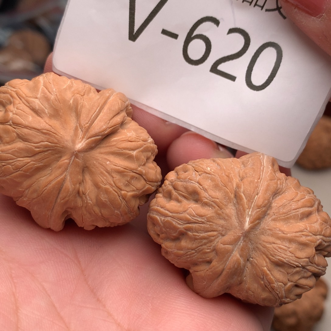 文玩核桃把件40元宝………..