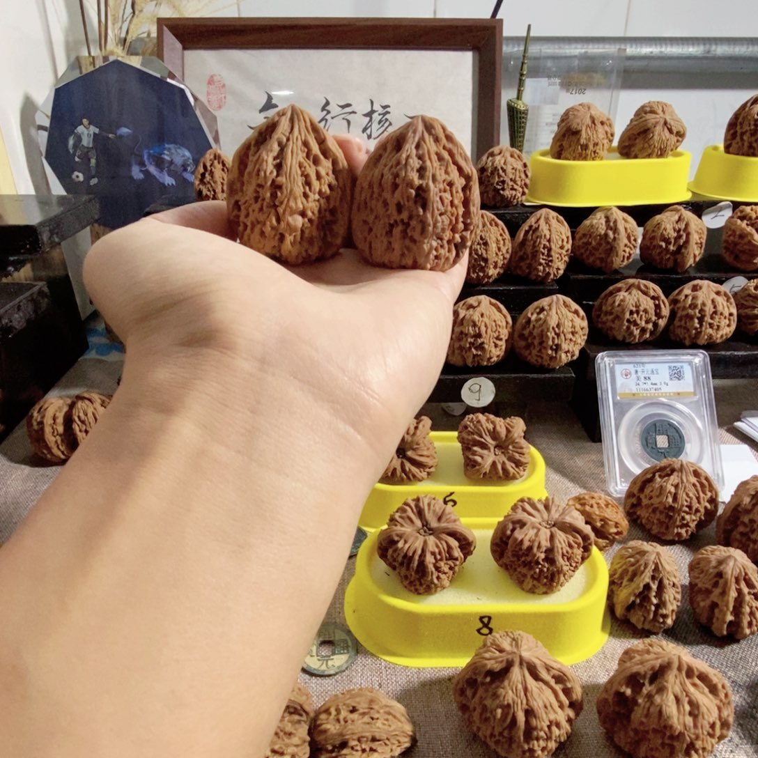 ****木质类一代高炮差5个