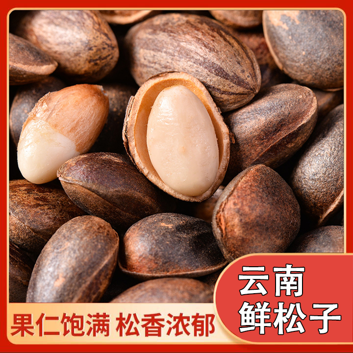 2025年云南新鲜薄壳生松子原味磕松原味松子贵州松籽生吃清甜清香