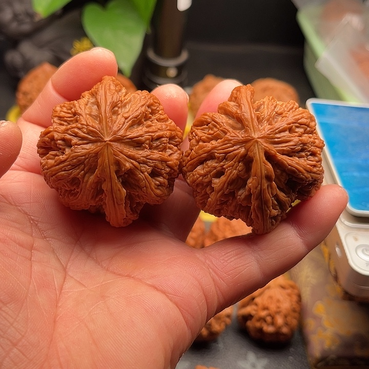 文玩核桃把件大粗筋边50