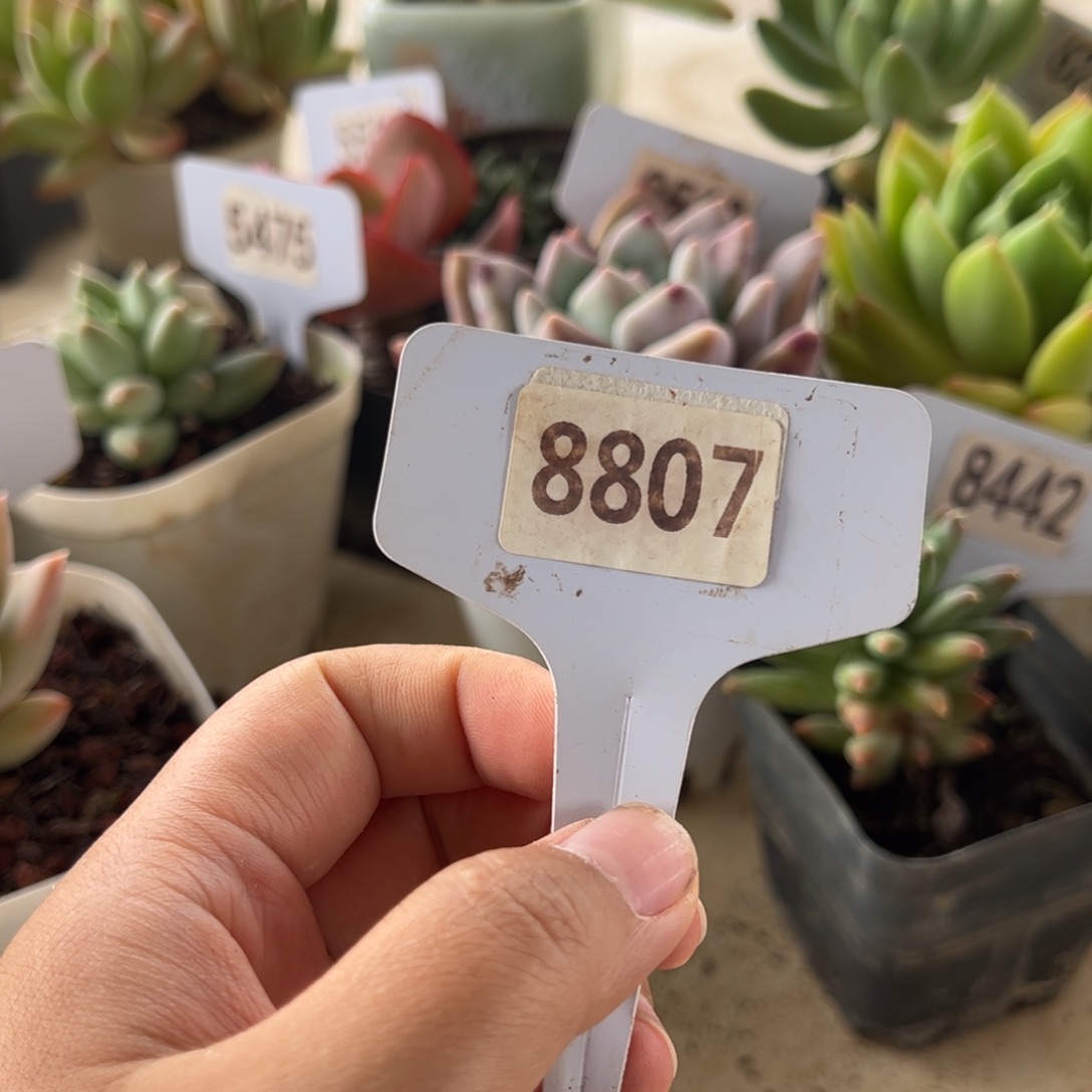 【闪购商品】南*.8807。11111111