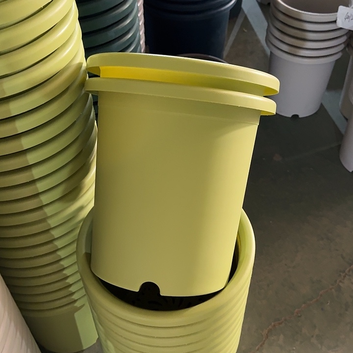 微瑕7#果绿6个无托