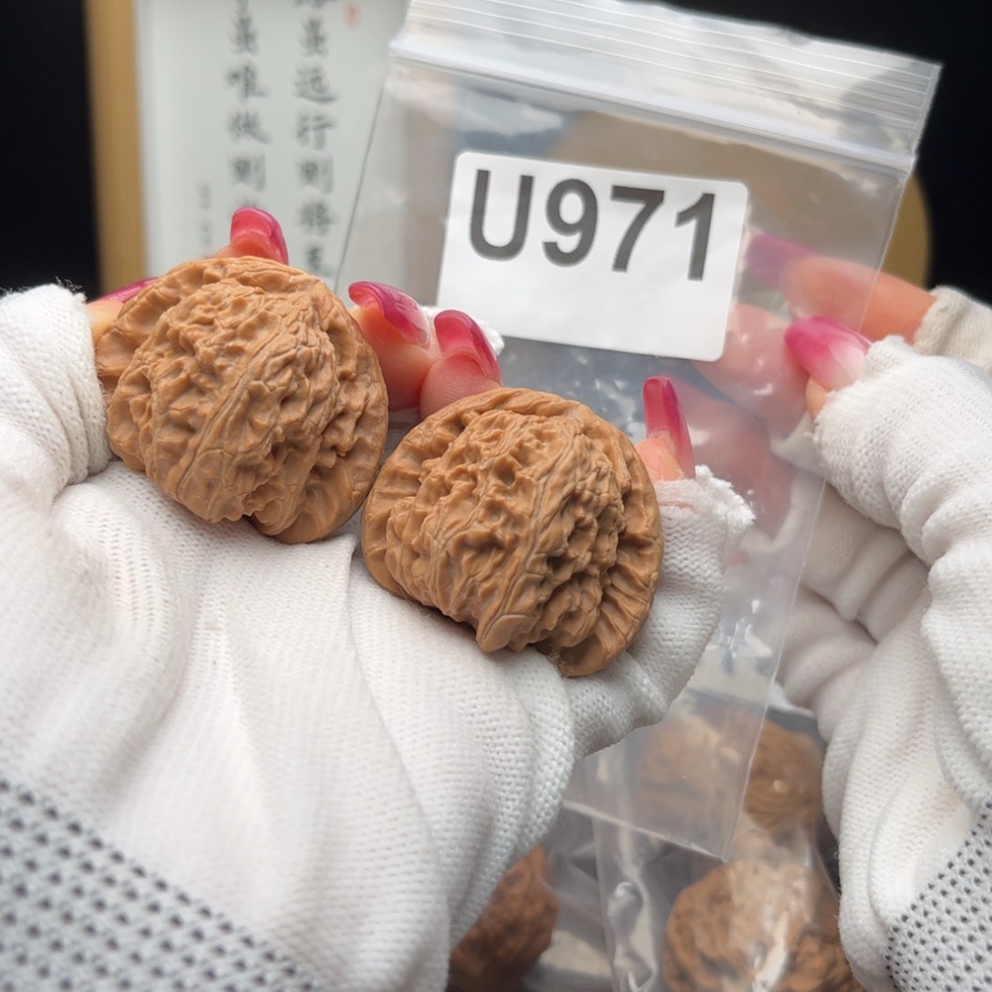文玩核桃把件41白狮子u971