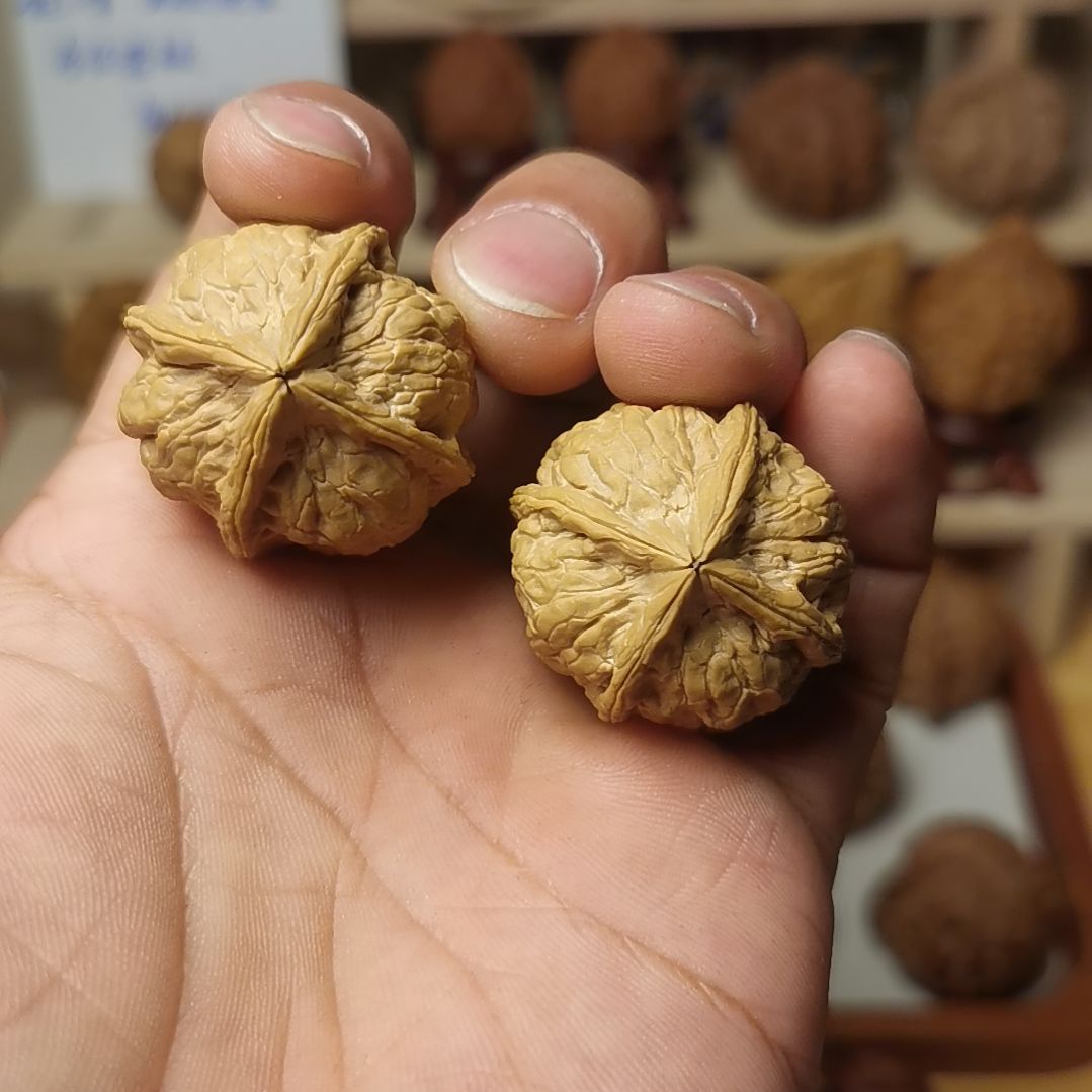 核桃文玩核桃高端小众云铁四棱手捻全品31-33尺