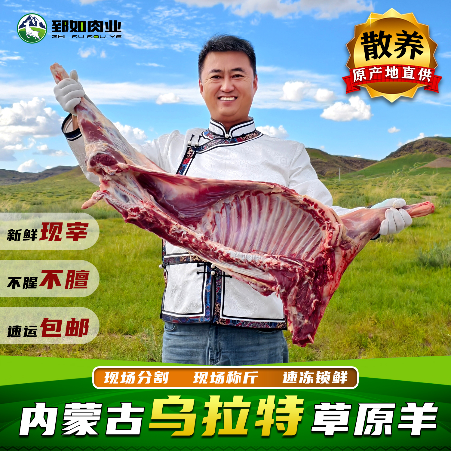 【绵羊链接】整羊半羊45斤内蒙古草原散养新鲜现宰整扇/切块70%腿排