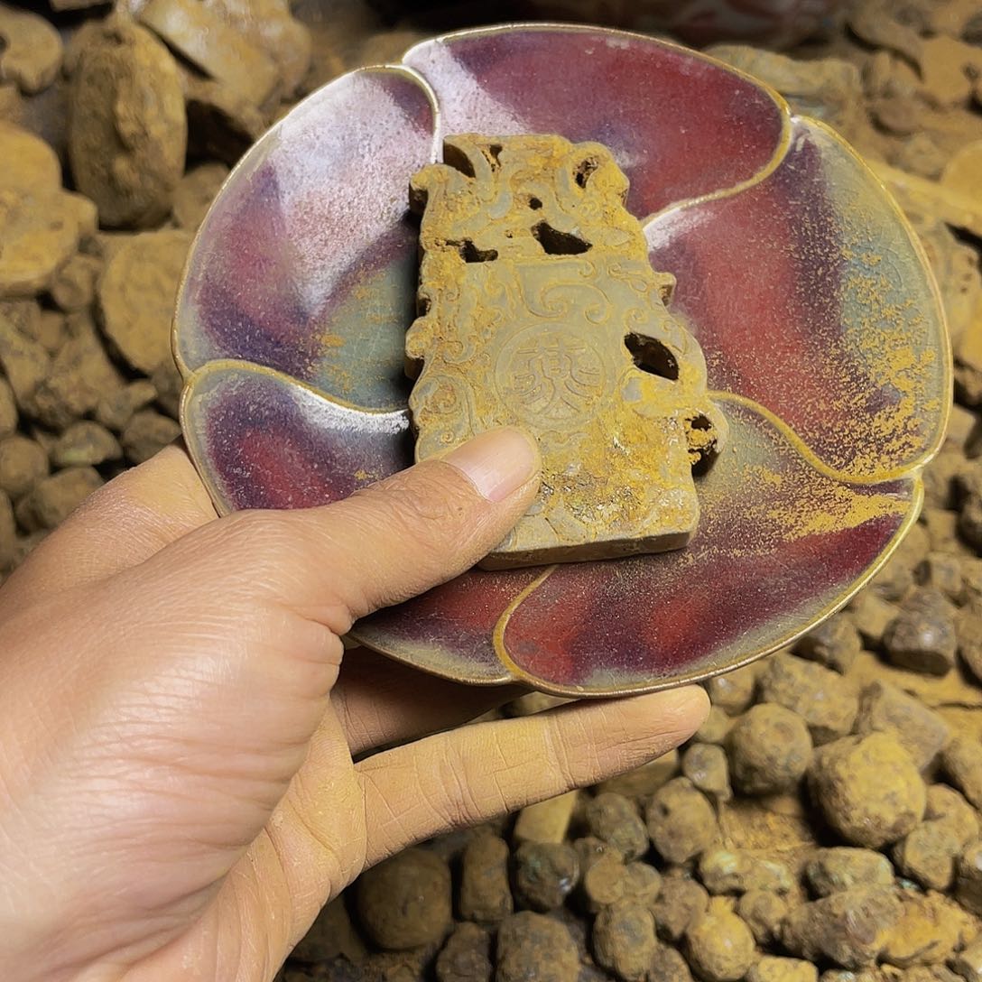 碟坎坎坷坷一路成长啊哈哈笑吐