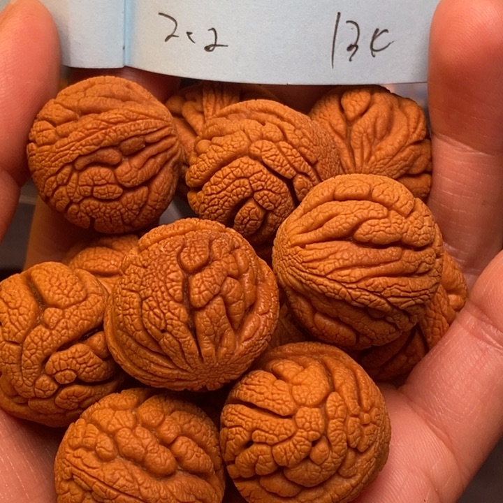 吊坠桃核秦岭龙纹桃核22尺寸