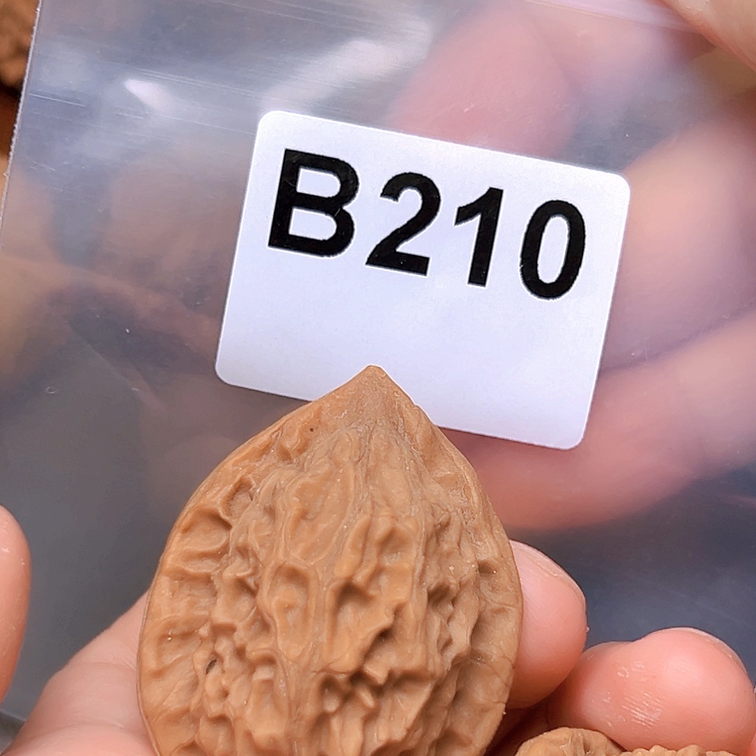 吊坠文玩核桃36大红袍