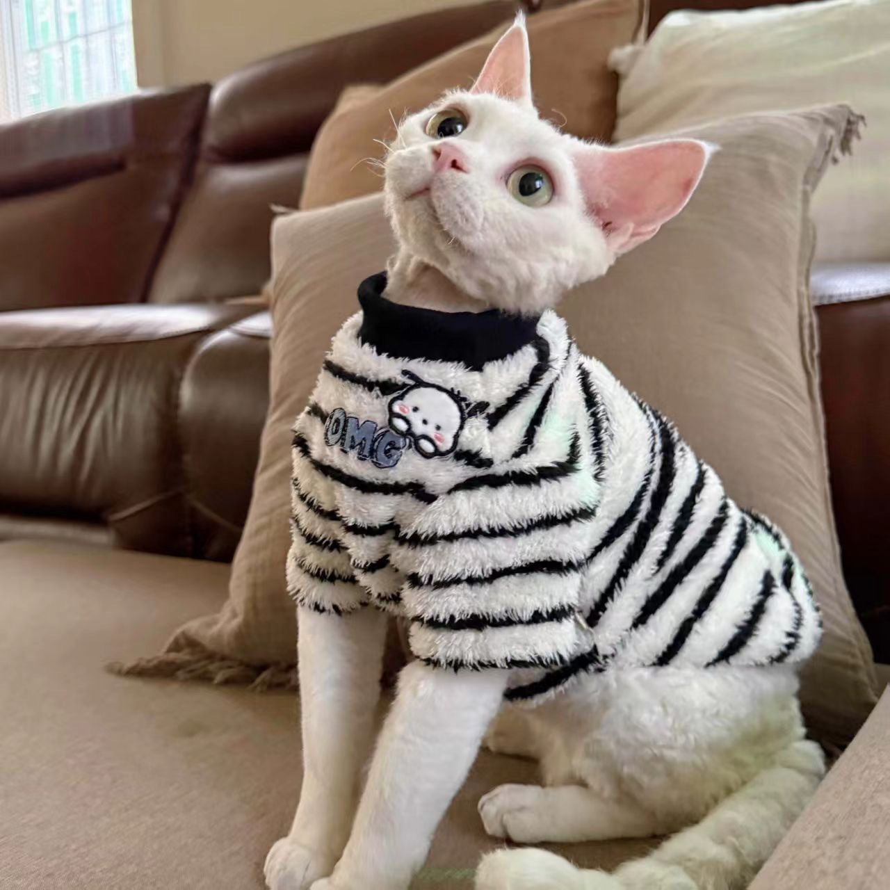猫咪衣服秋冬新款可爱毛绒条纹猫咪保暖洋气德文斯芬克斯宠物衣服
