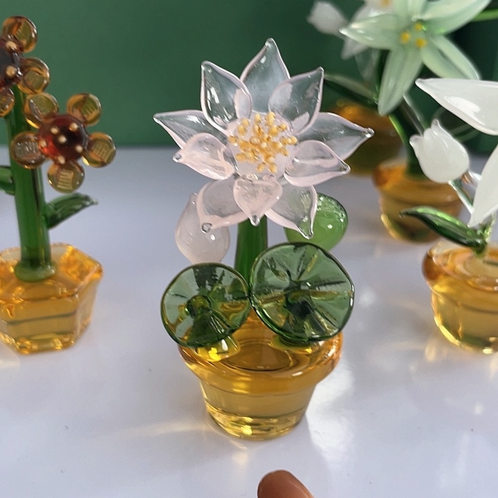 茶宠我也不知道我为什么要