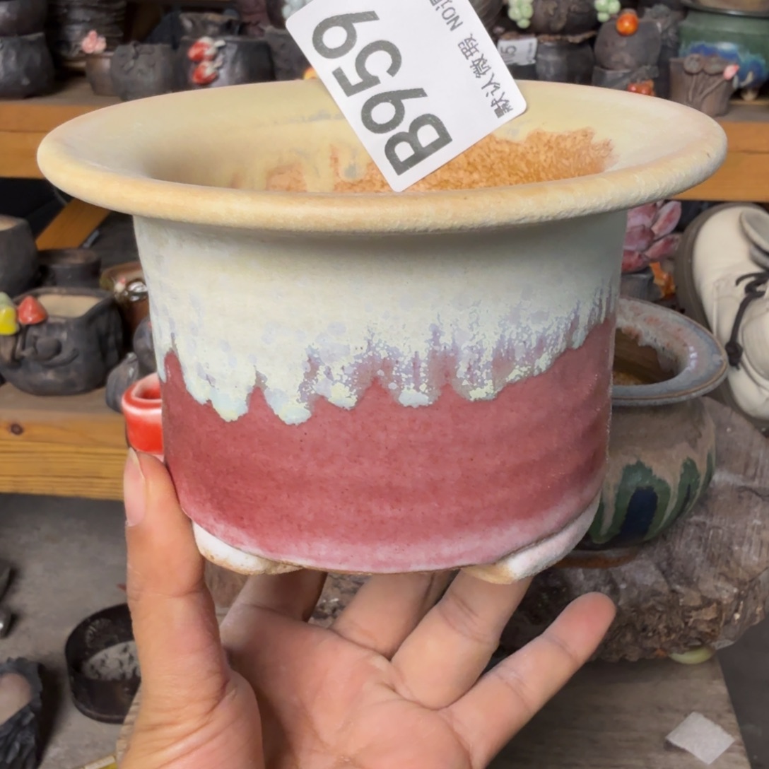 重庆小燕子欢迎大家959