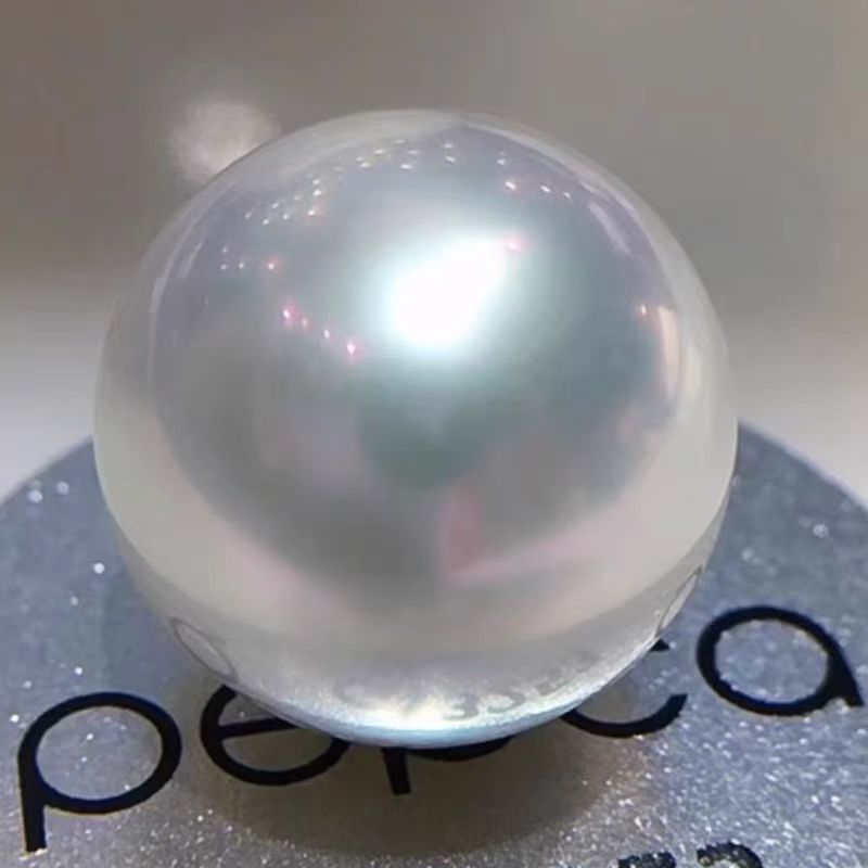 河蚌里面有白色珍珠