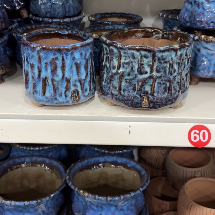 ****࿐花盆内扣9.5-10.5各2个