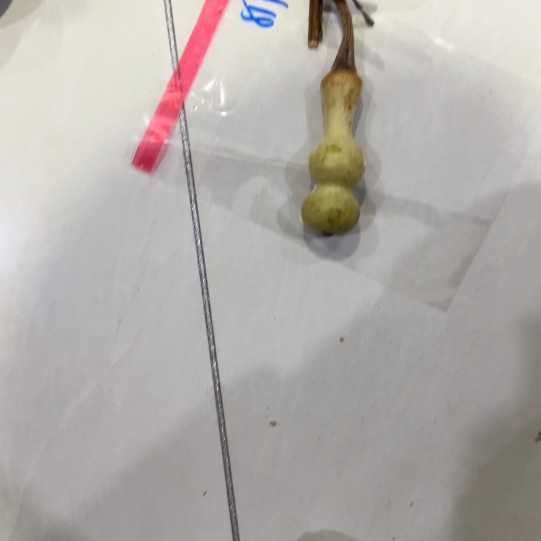 福***妹青皮不包成青皮不包成