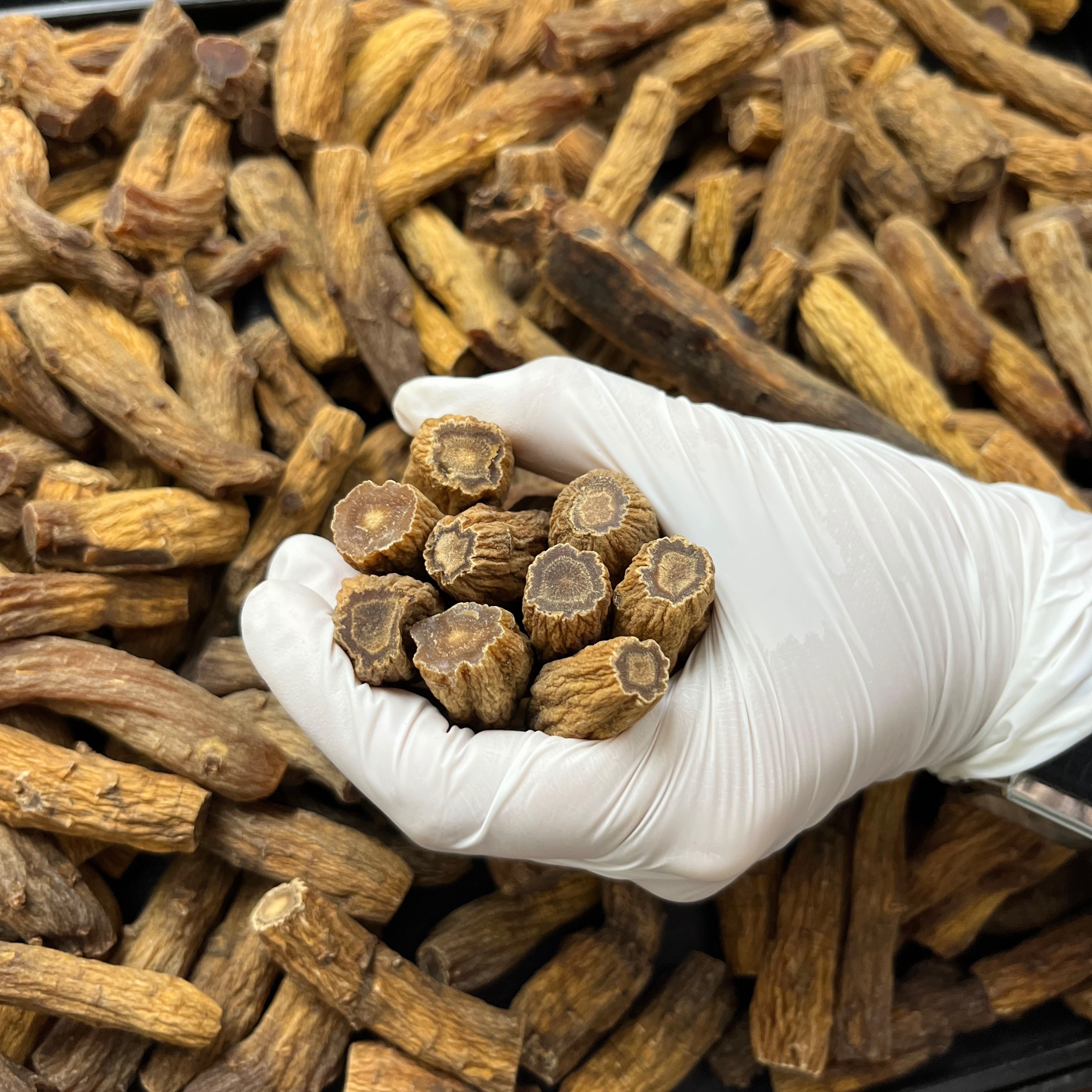 优质特大节高丽参腿特级优选煲汤精品可切片参尾