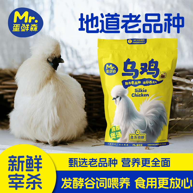 蛋鲜森乌鸡单只800克肉质细腻煲汤鲜美新鲜宰杀正宗乌鸡商品图