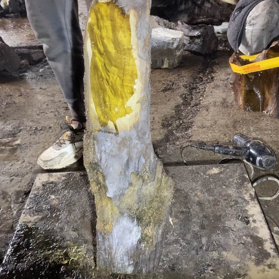 金丝楠阴沉木小叶帧楠