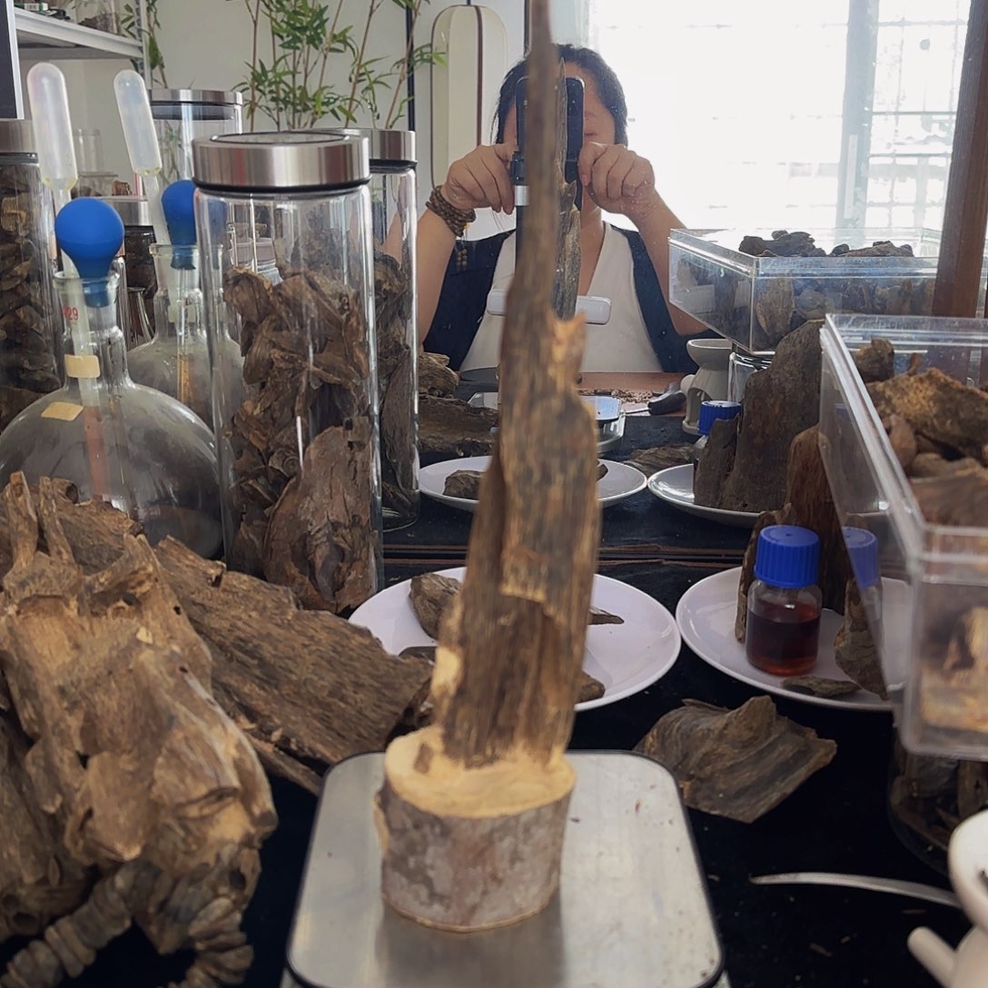 沉香沉香碎屑精品陆河摆100克+