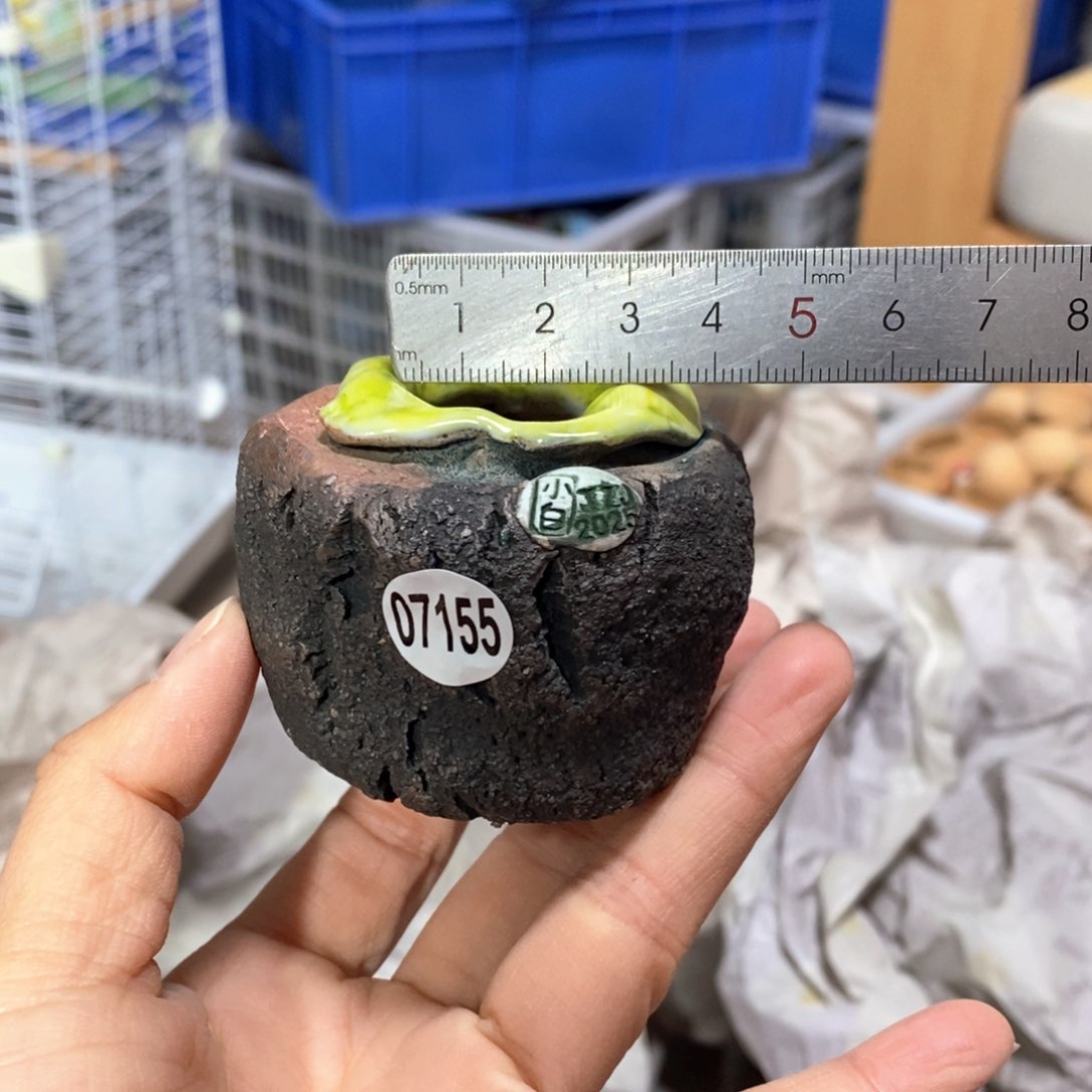 花盆拍3送一个小礼物