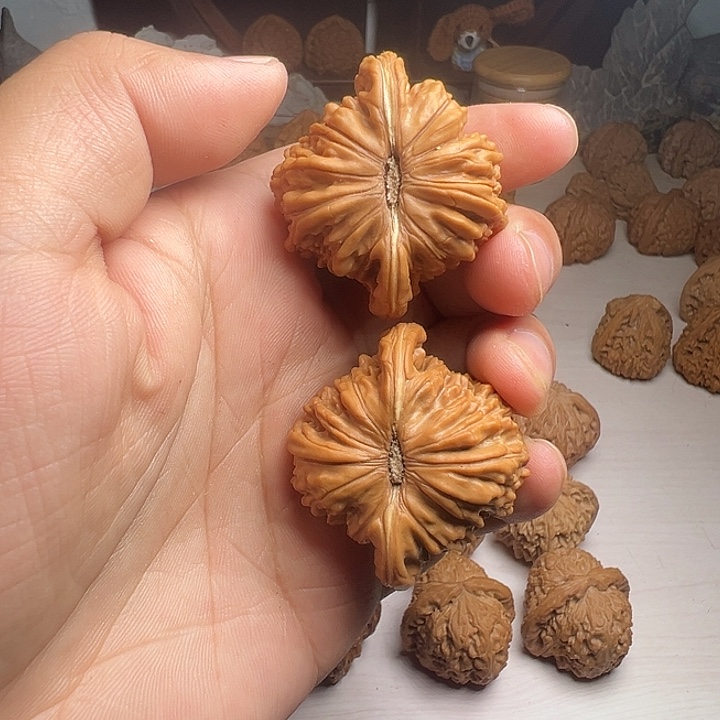 大一字底子平谷楼子