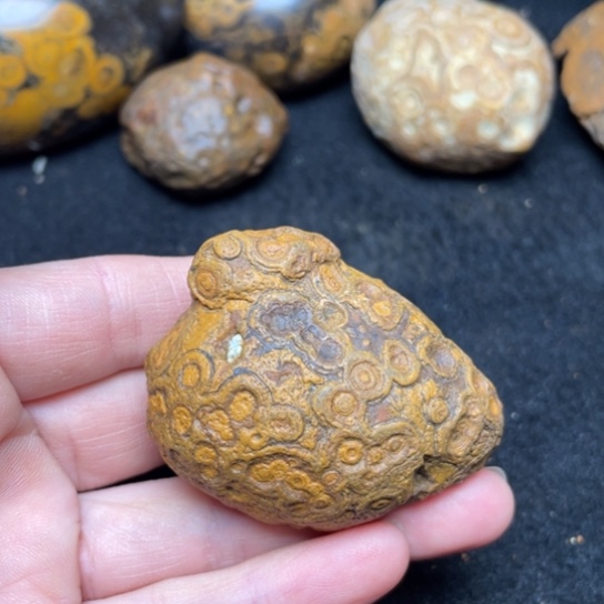 石材纯天然奇石原石94