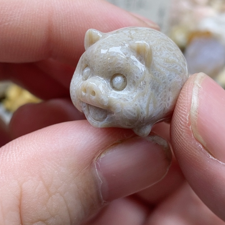 颈饰未镶嵌硅化珊瑚（珊瑚玉）没打孔 小