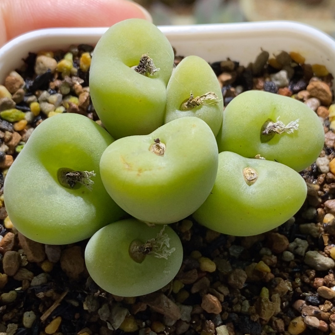 好看好看好空卡yike