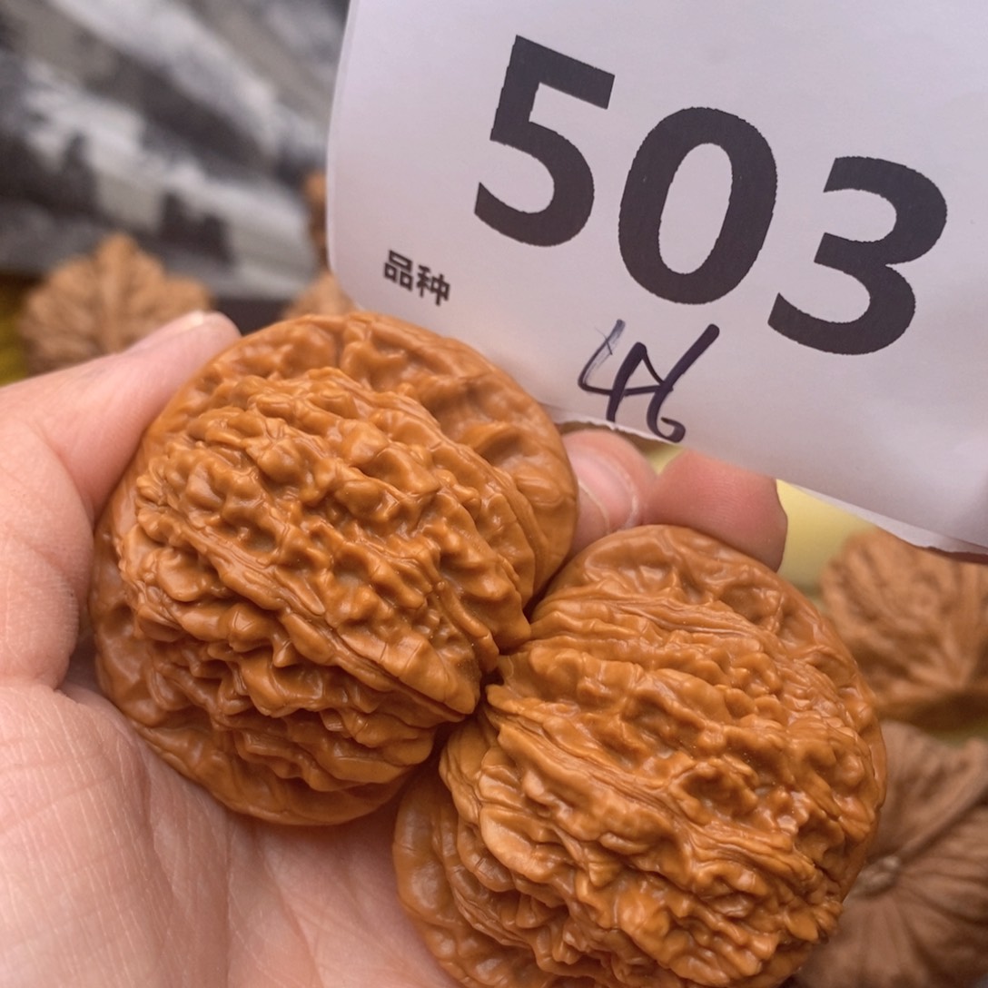 文玩核桃把件503号46楼