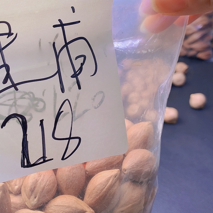 吊坠橄榄核建*苏州工业园区