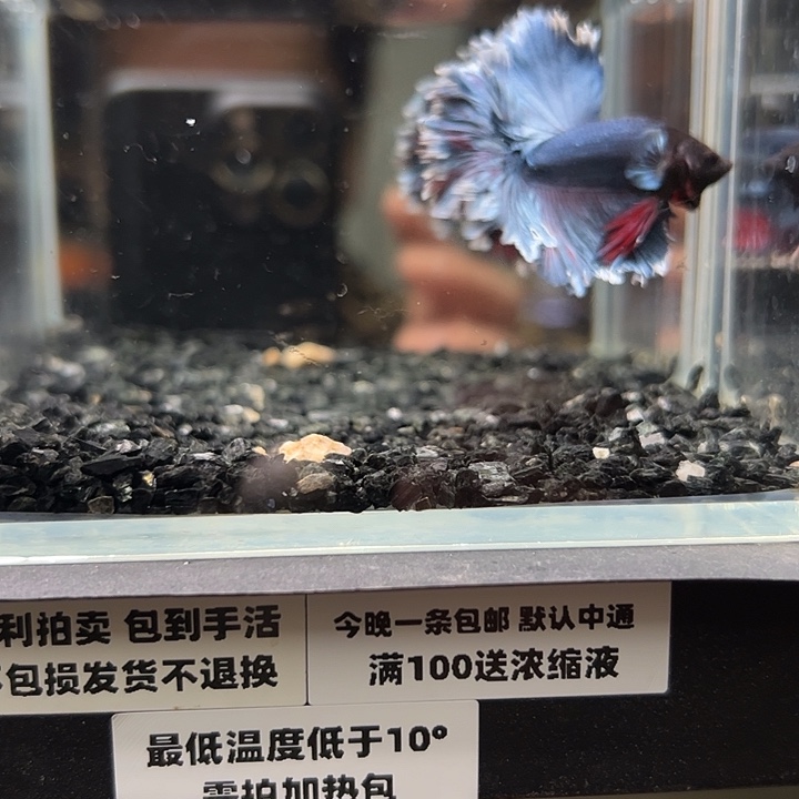 斗鱼跑单拉黑4日72