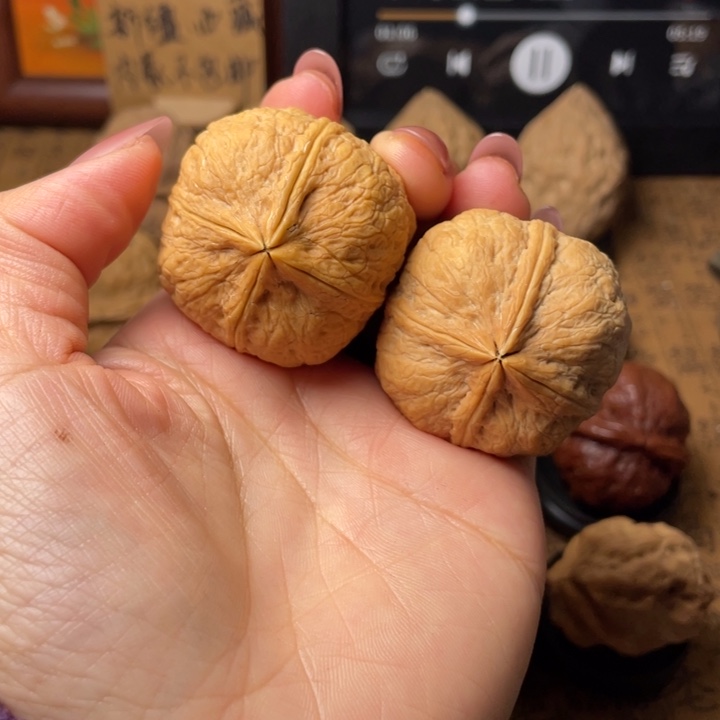 圆****如图所示一物一拍95