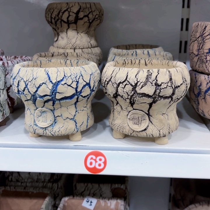 内口9.5高10.5月又一场