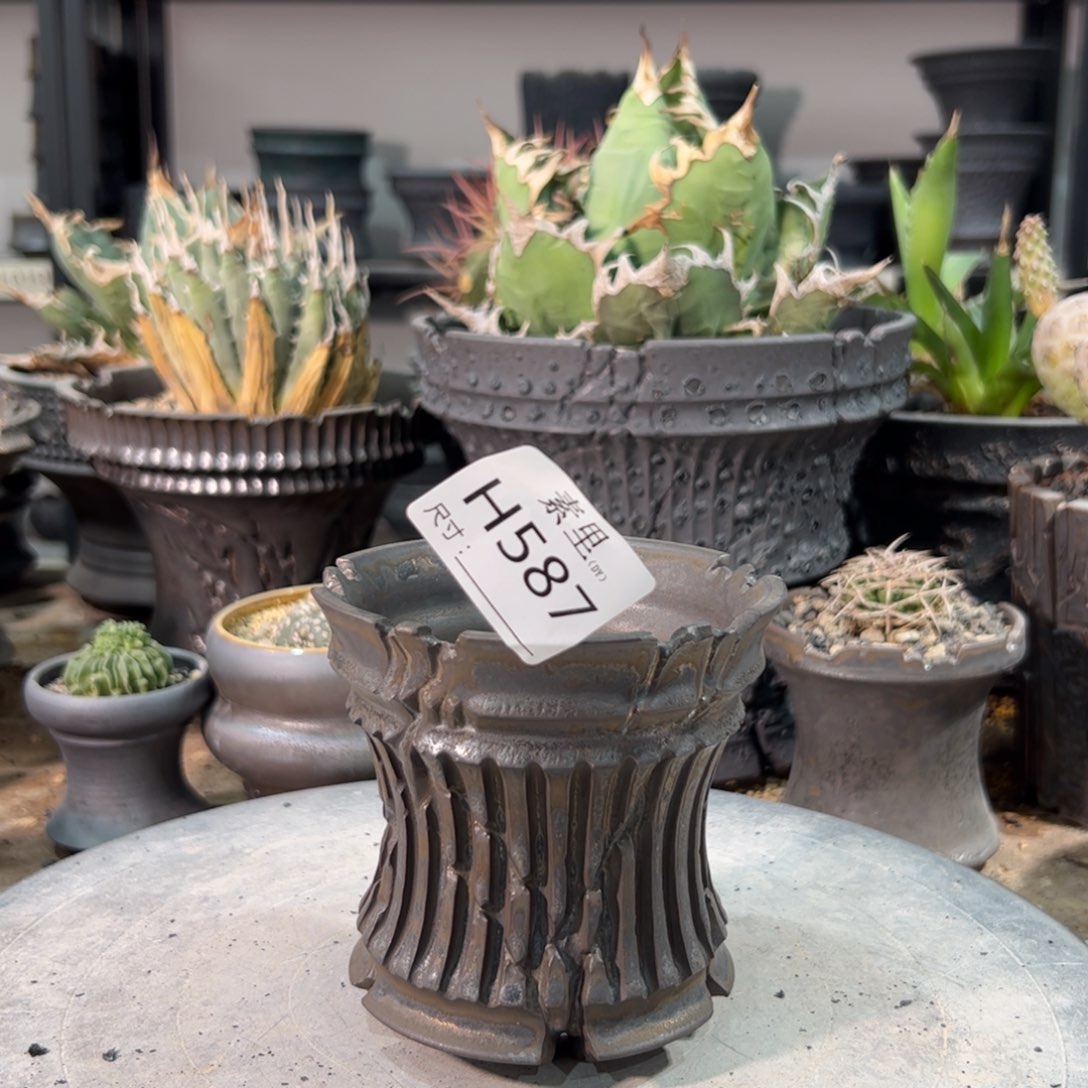 景德镇手工素里内口9.5高10