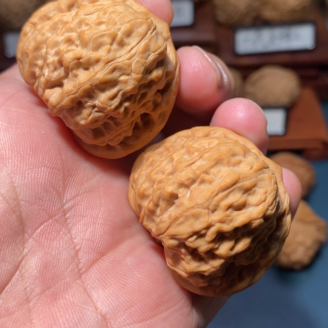 文玩核桃把件凤凰山全品