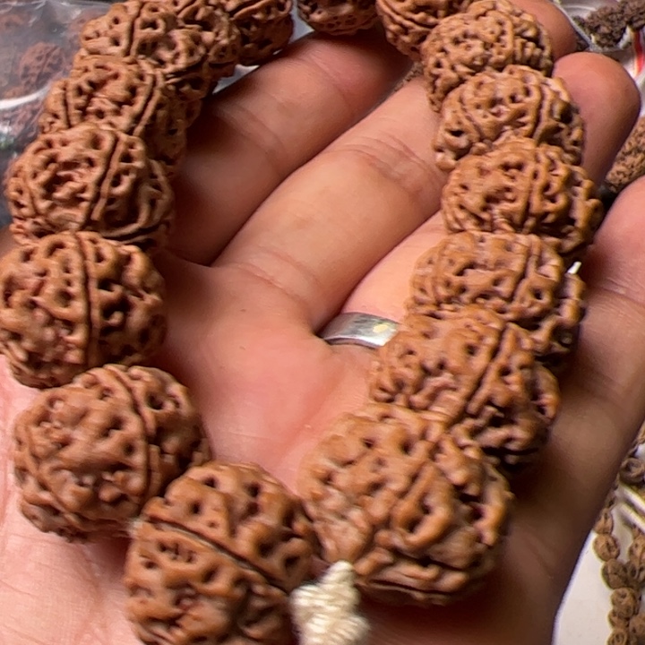 金刚菩提手串19➕平头大粗筋