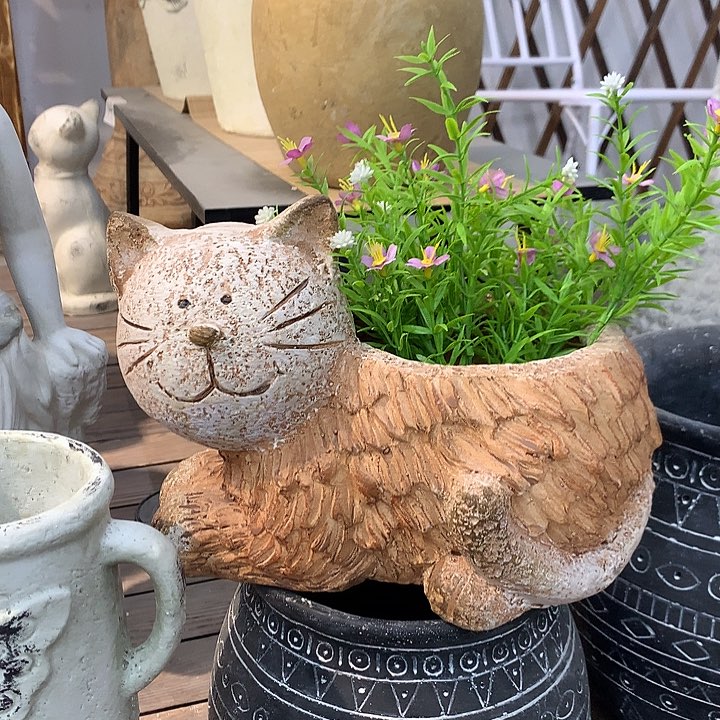 红陶高20厘米长26口12.5