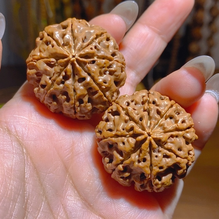 野生多瓣大金刚把件348