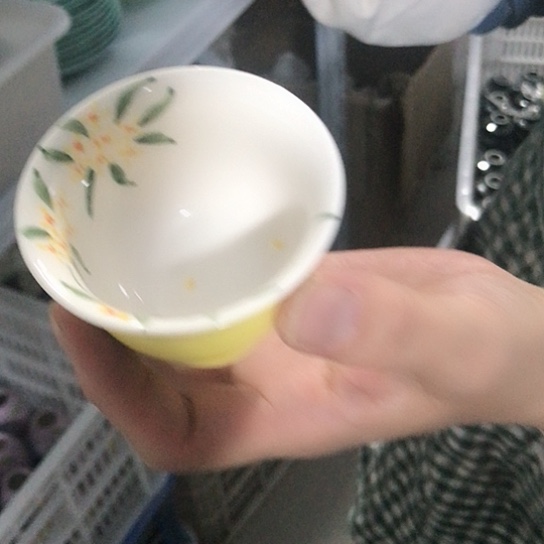 宠粉福利活动开始喽