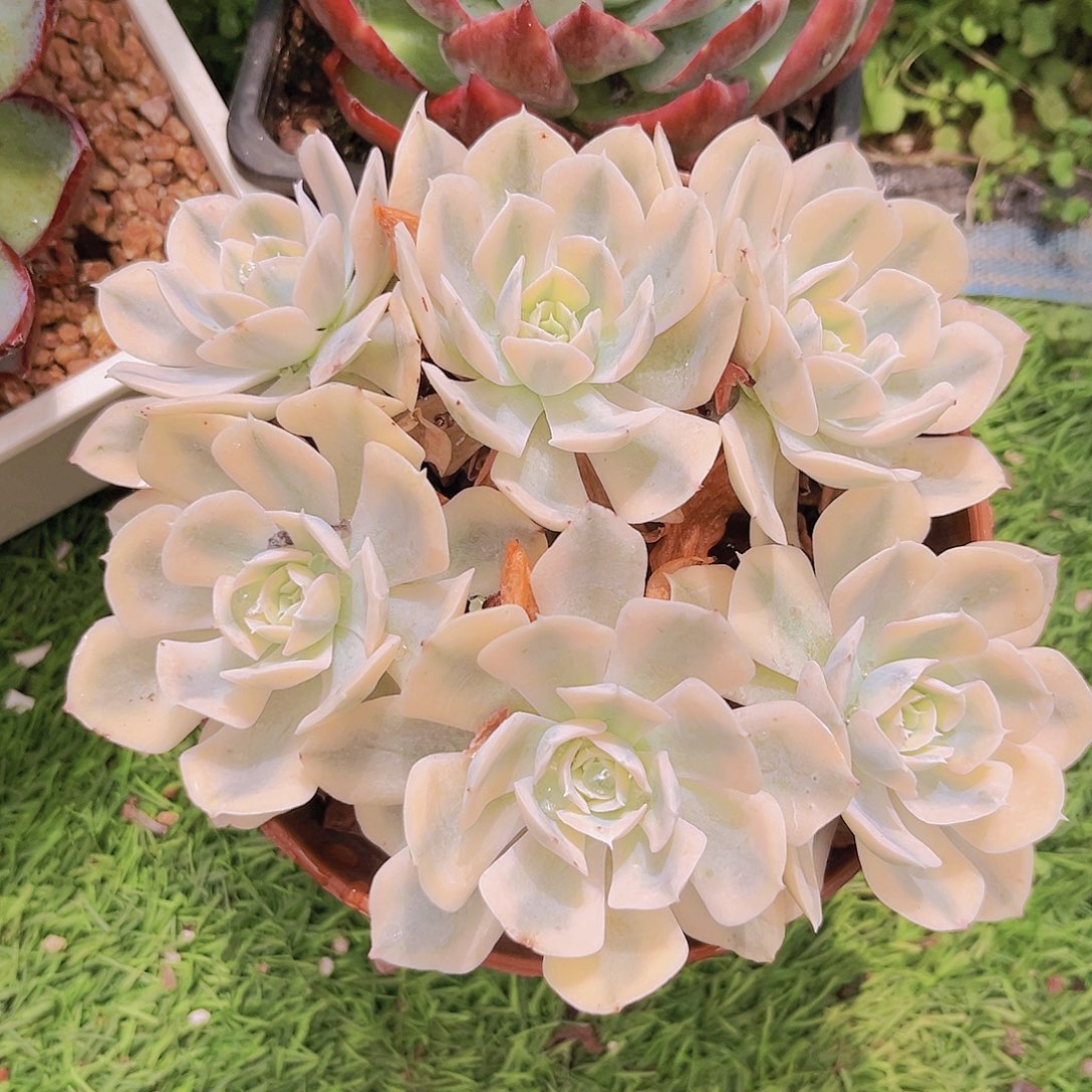 20号8888988898888888888