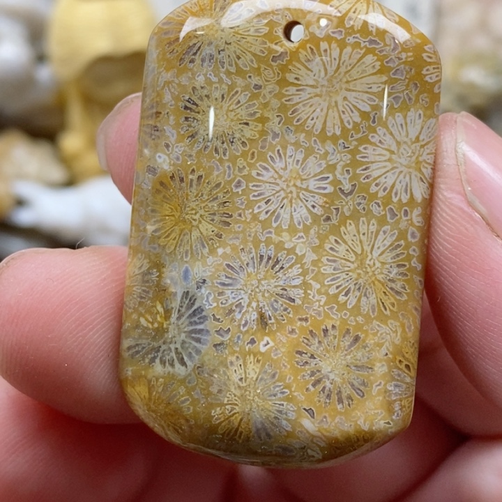 颈饰未镶嵌硅化珊瑚（珊瑚玉）