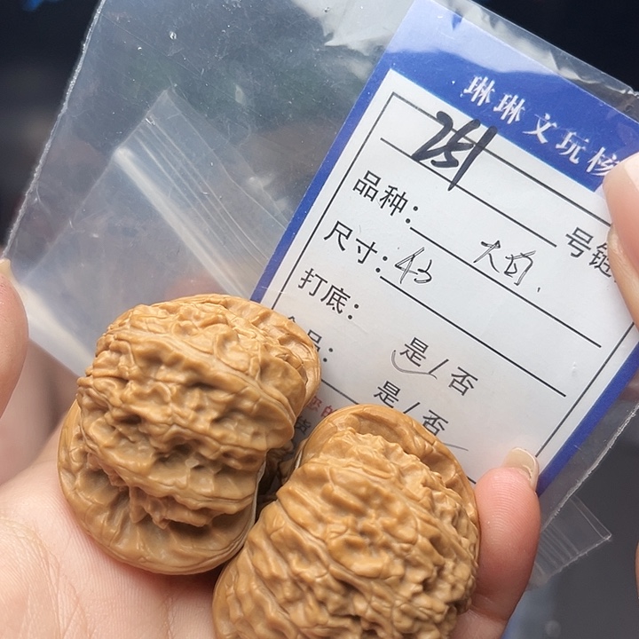 文玩核桃吊坠核桃和251