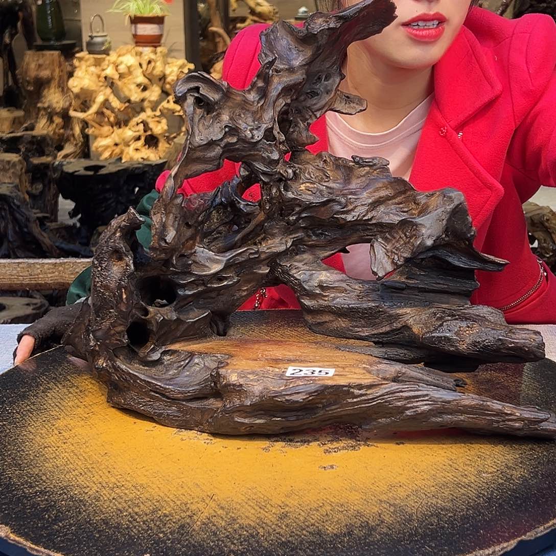 半***泉木235wwwwwwwwwwww