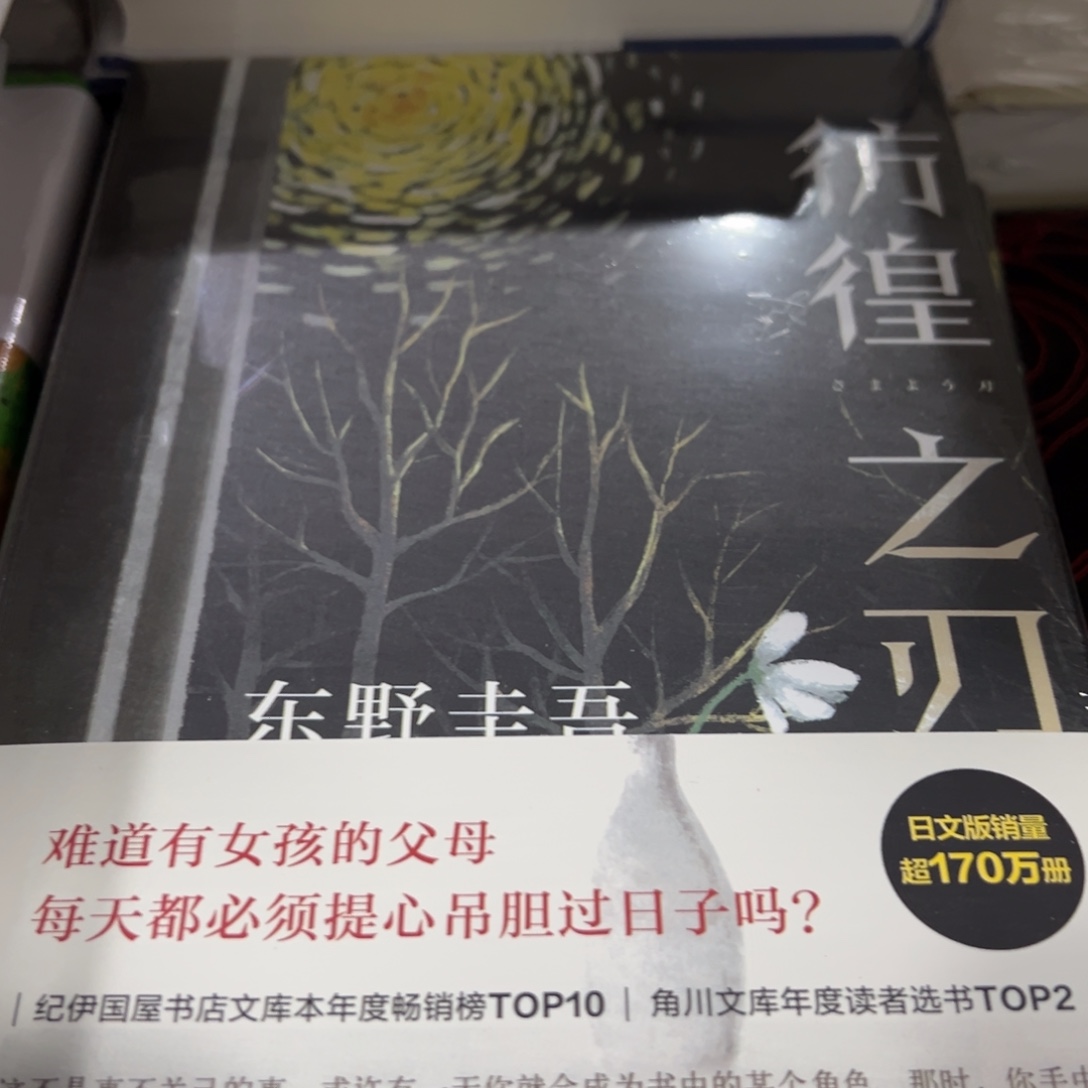 彷徨之刃精装一个