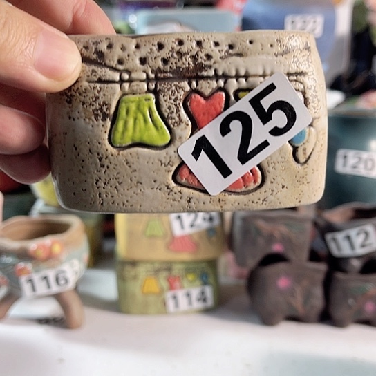 红陶多肉植物花盆