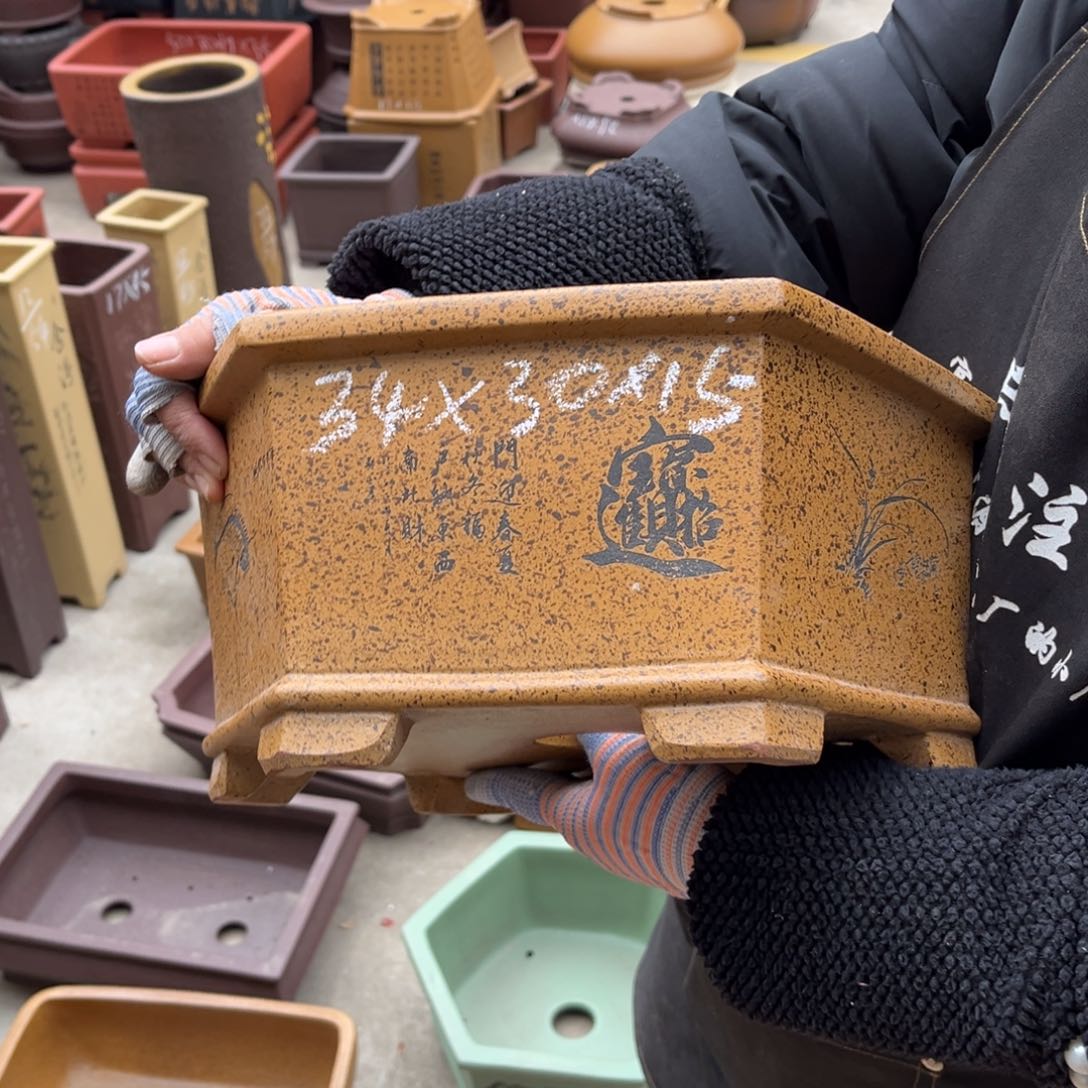 紫砂花盆盆景艺术