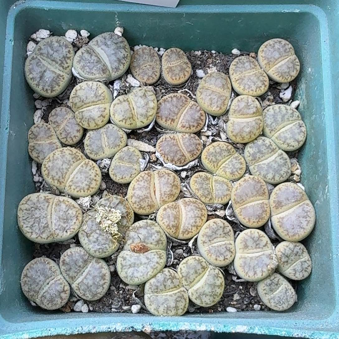 1617 哈哈哈哈哈哈哈哈哈哈哈