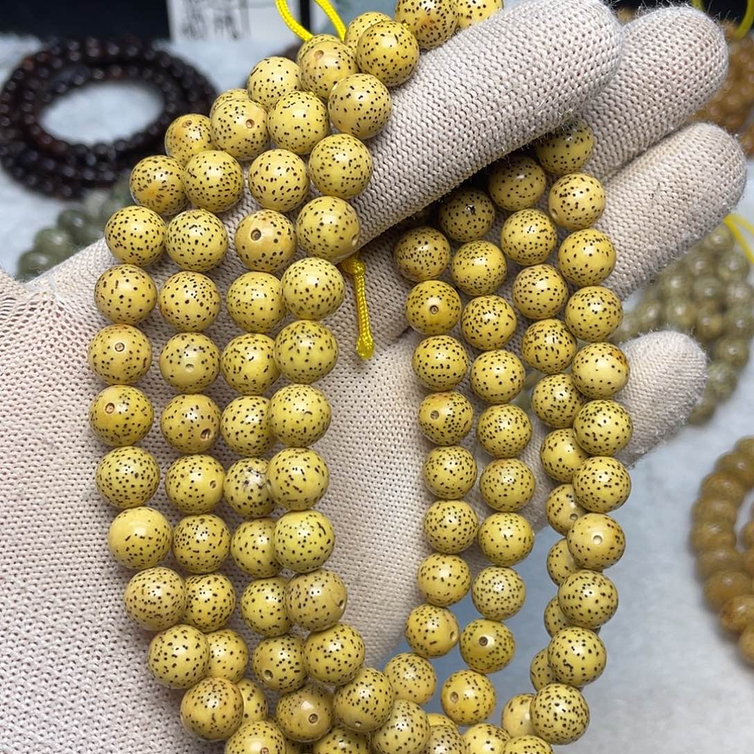 星月菩提吊坠10尺寸，鸡油黄，带备籽